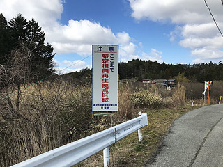 166.jpg