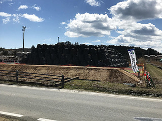 226.jpg