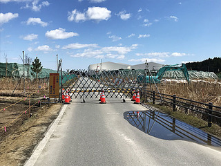 231.jpg