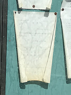 243b.jpg